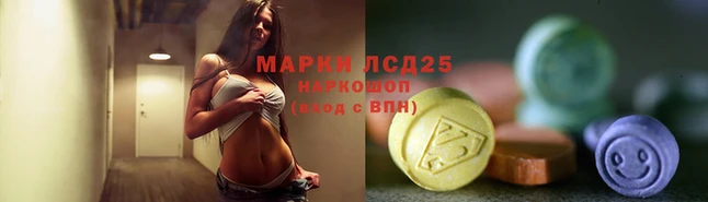 гидропоника Володарск