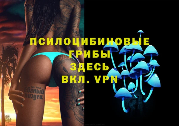гидропоника Володарск
